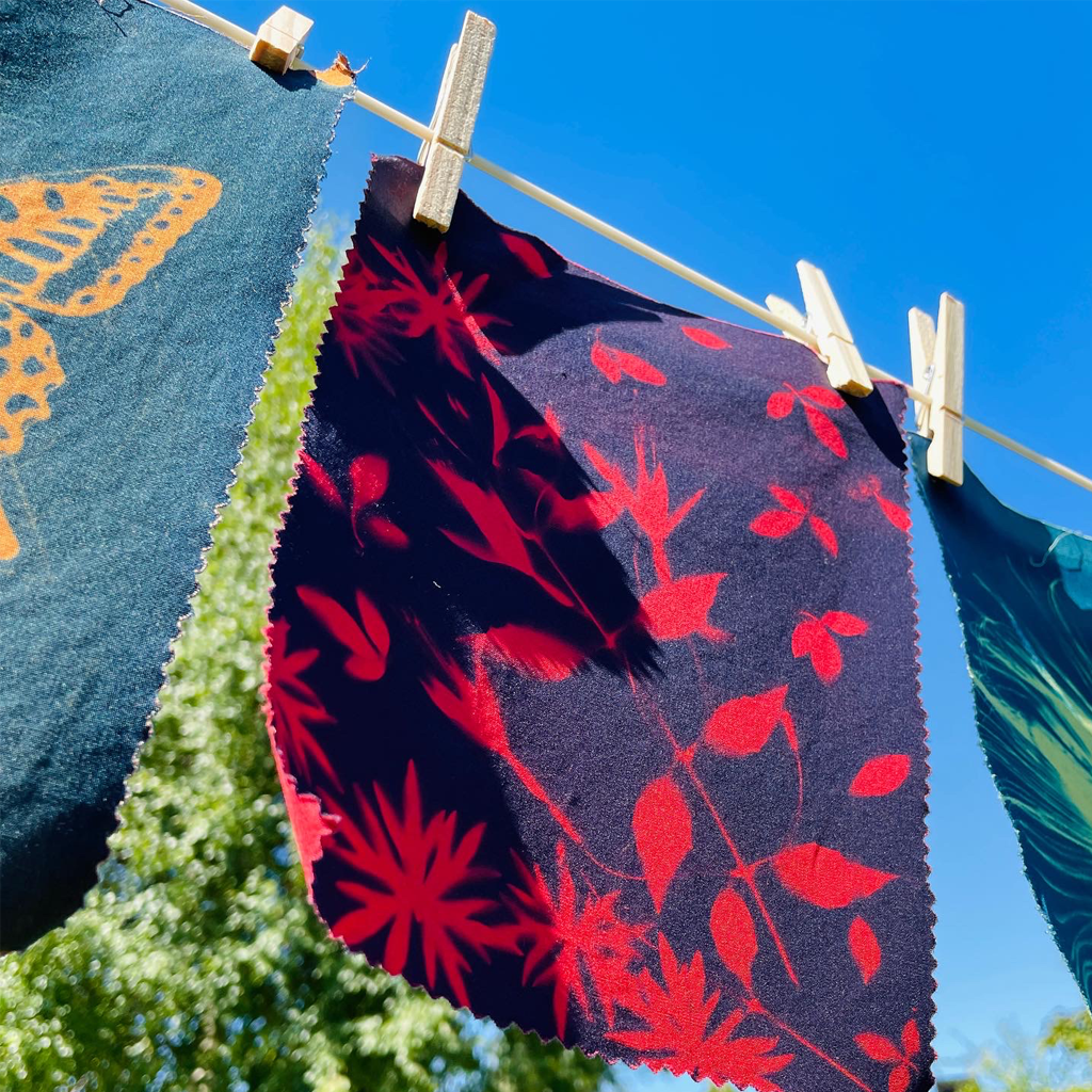 Disley Show Sunprint Workshop - Session 1: Sat 16th Aug 2025