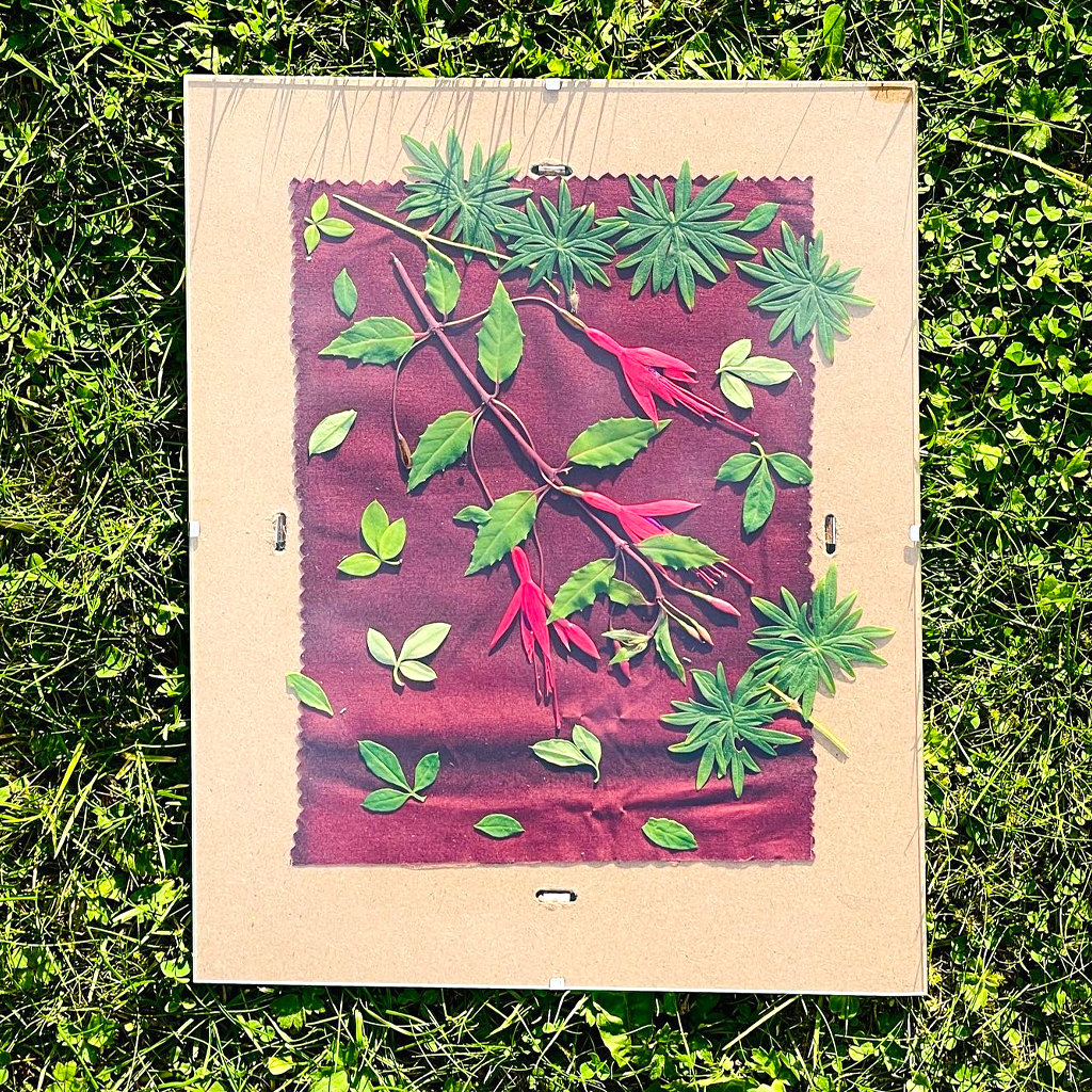 Disley Show Sunprint Workshop - Session 1: Sat 16th Aug 2025