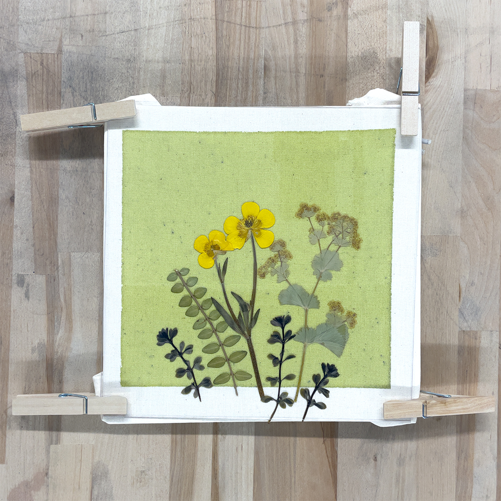 Cyanotype Wildflower Craft Kit