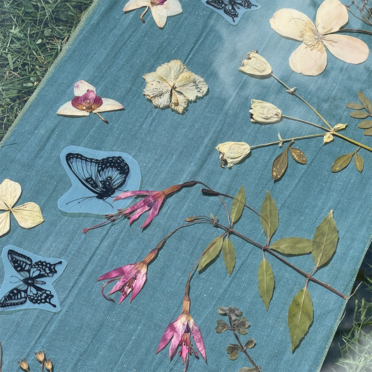 Cyanotype Lampshade Workshop - Saturday 17th May 2025