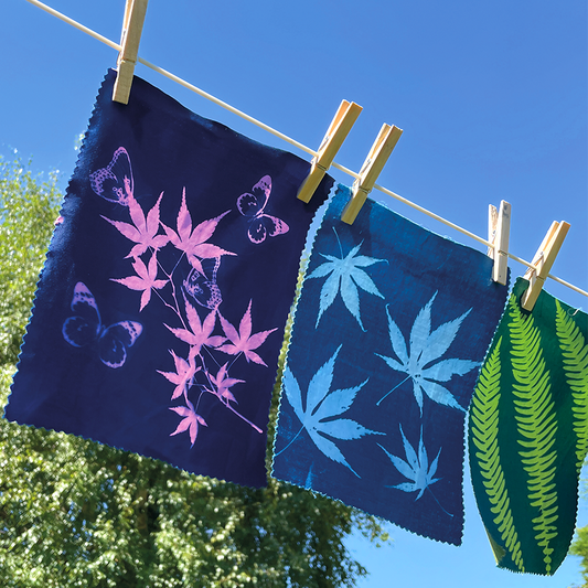 Disley Show Sunprint Workshop - Session 1: Sat 16th Aug 2025
