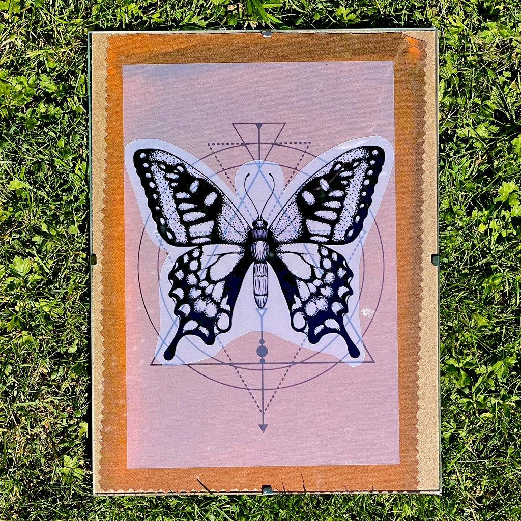 Disley Show Sunprint Workshop - Session 1: Sat 16th Aug 2025