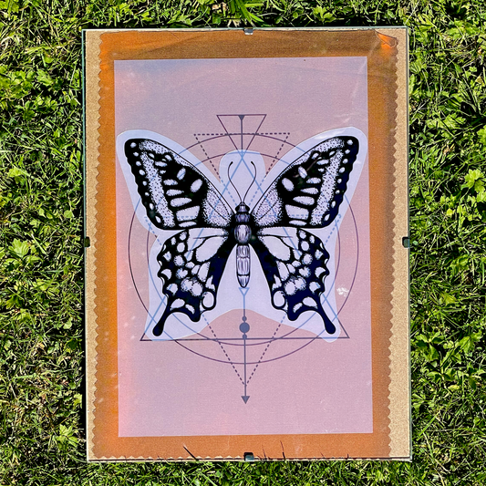 Disley Show Sunprint Workshop - Session 2: Sat 16th Aug 2025